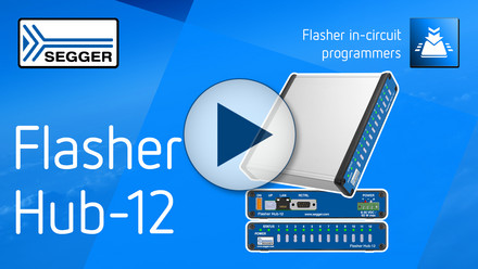 Thumbnail Video Flasher Hub-12