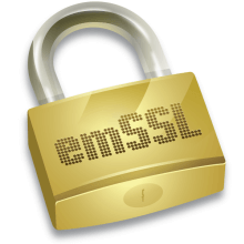 emSSL Lock Logo